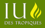 IUT-rectangle3